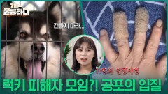  럭키 피해자 모임?! 원인 모를 공포의 입질 | KBS 251225 방송 