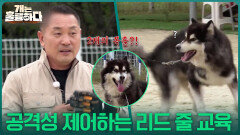두 개의 목줄?! 공격성을 제어하는 리드 줄 교육 | KBS 251225 방송 