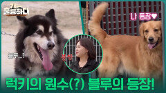 럭키의 원수(?) 블루 등장! 탐색 시간이 필요한 둘 | KBS 251225 방송 