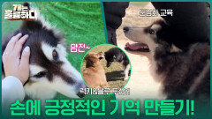 손에 대한 긍정적인 기억 갖기! 교육 후 달라진 럭키의 일상 | KBS 251225 방송 