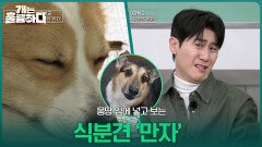 몽땅 입에 넣고 보는 식분견 ‘만자’ | KBS 260112 방송 