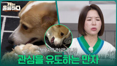 보호자의 관심은 머니뿐, 관심을 유도하는 만자 | KBS 260112 방송 