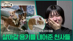 고스란히 전해지는 보호자의 마음, 살아갈 용기를 내어준 천사들 | KBS 260112 방송 