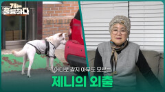 어디로 갈지 아무도 모르는 제니의 외출 | KBS 260209 방송 