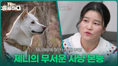 제니때문에 화가 난 마을 주민! 제니의 무서운 사냥 본능 | KBS 260209 방송 