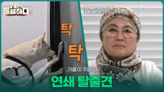 가출이 취미인 연쇄 탈출견 | KBS 260209 방송 