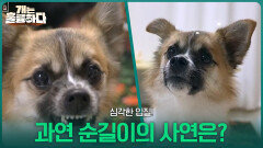 심각한 입질! 과연 순길이의 사연은? | KBS 260223 방송 