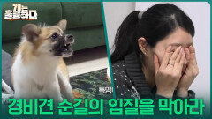 특명! 경비견 순길이의 입질을 막아라 | KBS 260223 방송 