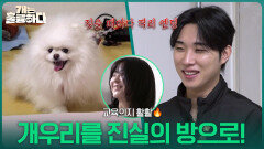 “ 개통령 개우리를 진실의 방으로! ” 최민혁의 저리가 교육으로 변화한 개우리!? | KBS 260302 방송 