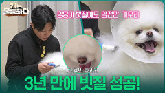 “ 올바른 방법만 안다면... ” 개우리의 빗질 둔감화 교육으로 3년 만에 빗질 성공! | KBS 260302 방송 