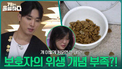 ＂개 이렇게 키우면 안 돼요!＂보호자의 위생 개념 부족?! | KBS 260309 방송 