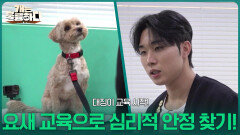 대징이 교육 시작! 요새 교육으로 심리적 안정 찾기! | KBS 260309 방송 