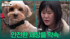 트라우마 극복! 대징이에게 안전한 세상을 약속 | KBS 260309 방송 