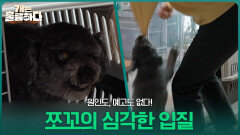 원인도, 예고도 없다! 심각한 다이너마이트 입질, 쪼꼬 | KBS 260316 방송 