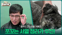＂끝까지 고집 꺾을 거예요!＂쪼꼬는 지금 서열 정리가 우선! | KBS 260316 방송 