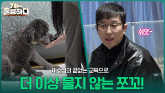 쉬잇-! 재호쌤의 교육으로 안전하게 간식 주기에 성공한 보호자! | KBS 260316 방송 
