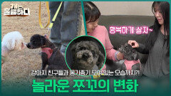 놀라운 쪼꼬의 변화! 강아지 친구들과 옹기종기 모여 있는 모습까지! | KBS 260316 방송 