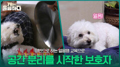 쟁반으로 하는 얼음땡 교육으로 동동이와 공간을 분리하기 시작한 누나 보호자 | KBS 260323 방송 