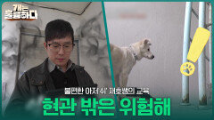 개훌륭 사관학교 최초로 두 쌤이 협동한다?! 불편한 아저‘쉬’ 재호쌤의 ‘현관 밖은 위험해’ 교육! | KBS 260330 방송 