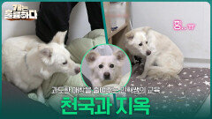 불안 3종 고민 세트의 나나, 보호자에 대한 과도한 애착을 줄여주는 민혁쌤의 ‘천국과 지옥’ 교육! | KBS 260330 방송 