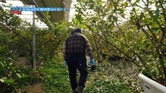[대한민국 1호] 국내 최초 유기농 농부의 ‘열대작물’ 농사 일기 | KBS 220113 방송