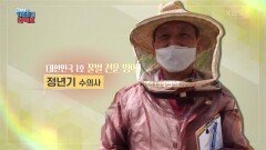 [대한민국 1호] 꿀벌들의 명의 정년기 꿀벌 전문 수의사 | KBS 220427 방송