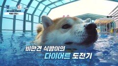 미소천사 김재원의 반려견 식빵이 끝없이 늘어가는 허리둘레? | KBS 210922 방송