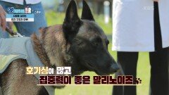 차종욱 민간 구조사와 민간 구조견 오투 오투가 한 대단한 일의 정체는~? | KBS 210922 방송