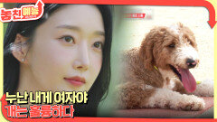 놓친 예능 따라잡기(누난 내게 여자야 / 개는 훌륭하다) | KBS 251030 방송 