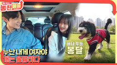 놓친 예능 따라잡기(누난 내게 여자야 / 개는 훌륭하다) | KBS 251127 방송 