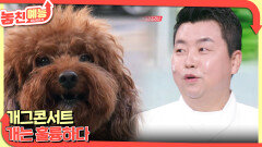 놓친 예능 따라잡기(개그콘서트 / 개는 훌륭하다) | KBS 260122 방송 