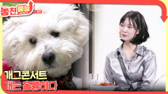 놓친 예능 따라잡기(개그콘서트 / 개는 훌륭하다) | KBS 260129 방송 