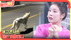 놓친 예능 따라잡기(개는 훌륭하다 / 개그콘서트) | KBS 260219 방송 