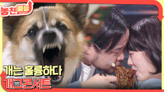 놓친 예능 따라잡기(개는 훌륭하다/개그콘서트) | KBS 260226 방송 