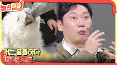 놓친 예능 따라잡기(개는 훌륭하다/개그콘서트) | KBS 260326 방송 