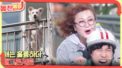  놓친 예능 따라잡기(개는 훌륭하다/개그콘서트) | KBS 260402 방송 