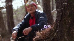 지게는 인생의 중심… 산에서 만난 삶의 무게 | KBS 220331 방송