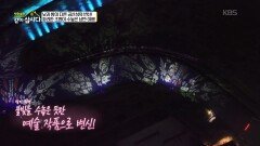 낮과 밤이 다른 공간성의 변신! 화려한 조묭이 수놓은 낭만 야행 | KBS 251110 방송 