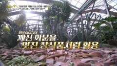 깨진 화분을 멋진 장식품처럼 활용한 딸의 아이디어! | KBS 251208 방송 