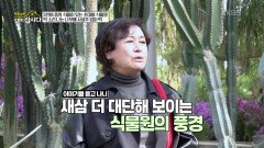 이야기를 듣고 나니 새삼 더 대단해 보이는 식물원의 풍경 | KBS 251208 방송 