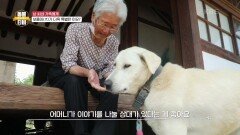 남 씨네 가족에게 보름이(犬)가 더욱 특별한 이유? | KBS 210717 방송