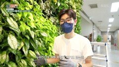 [해보라 UP] 사람 살리는 식물 벽 설치 전문가, 김성민 대표 | KBS 221006 방송