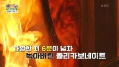 [현장실사단] 전통시장 지붕 화재에 약하다?!&한 아파트, 다른 행정구역  | KBS 230324 방송