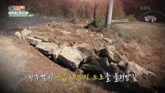 [현장실사단] 무너진 마을 진입로?! 닭 1,000마리 폐사한 사연은? | KBS 230926 방송
