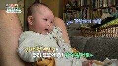 [걸어서 육아속으로] 네덜란드 암스테르담 | KBS 240202 방송
