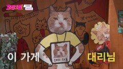 대리님이 고양이?! 가게를 가득 채운 고양이 소품들! 선유로운 고양이 소품샵 사장님! | KBS 240828 방송 