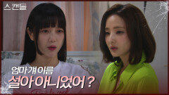 ＂걔 이름 설아 아니었어 엄마?＂ 과거를 묻는 김규선에 괜히 뜨끔하는 한채영 | KBS 240725 방송