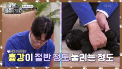 재난시! 꼭 알아야 할 반려동물 CPR ️ | KBS 241012 방송