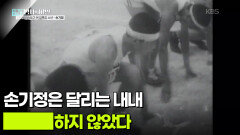 손기정은 달리는 내내 ███하지 않았다 | KBS 260428 방송 