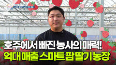 [굿모닝 잡스타] 호주 워홀에서 빠진 딸기의 매력 | KBS 251128 방송 